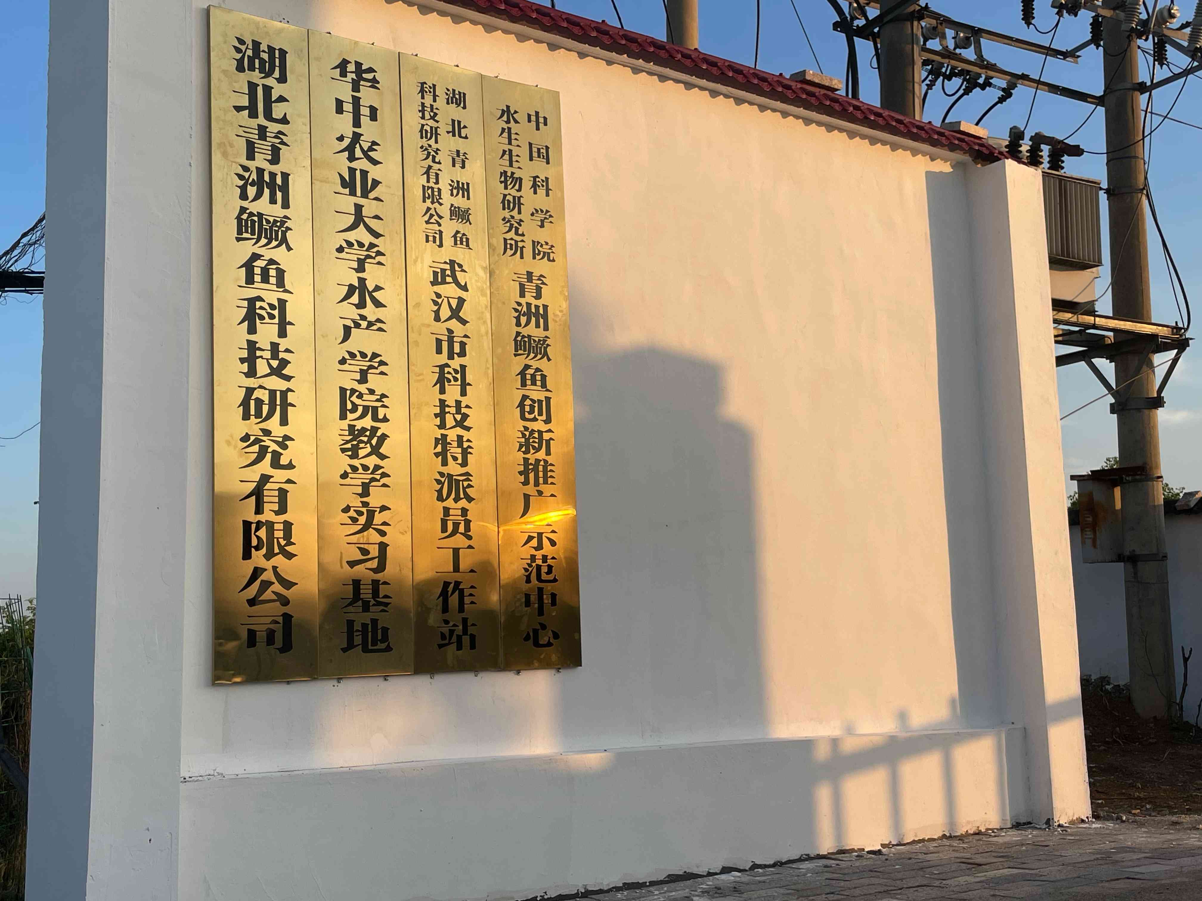 基地荣誉