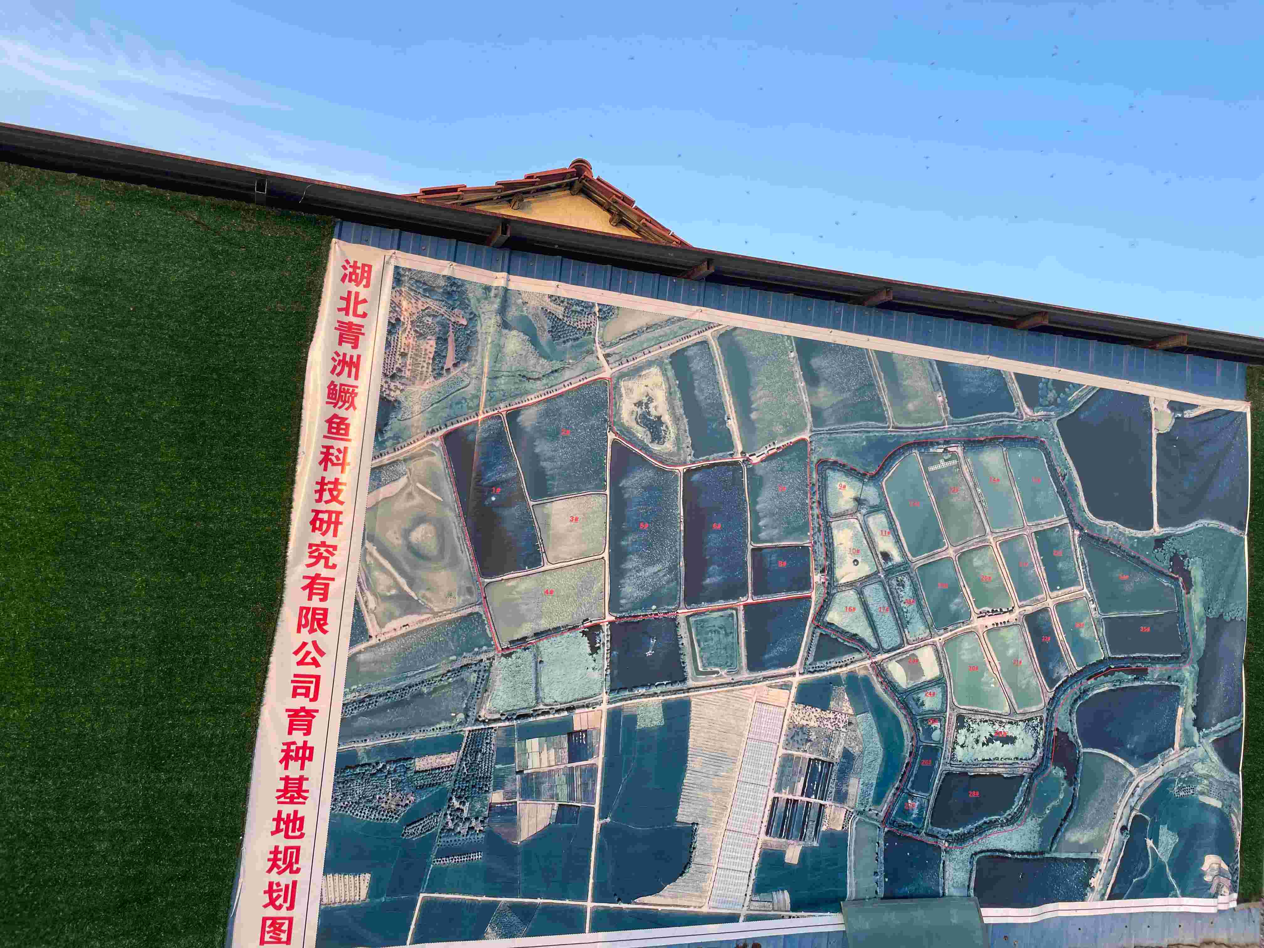 基地规划图