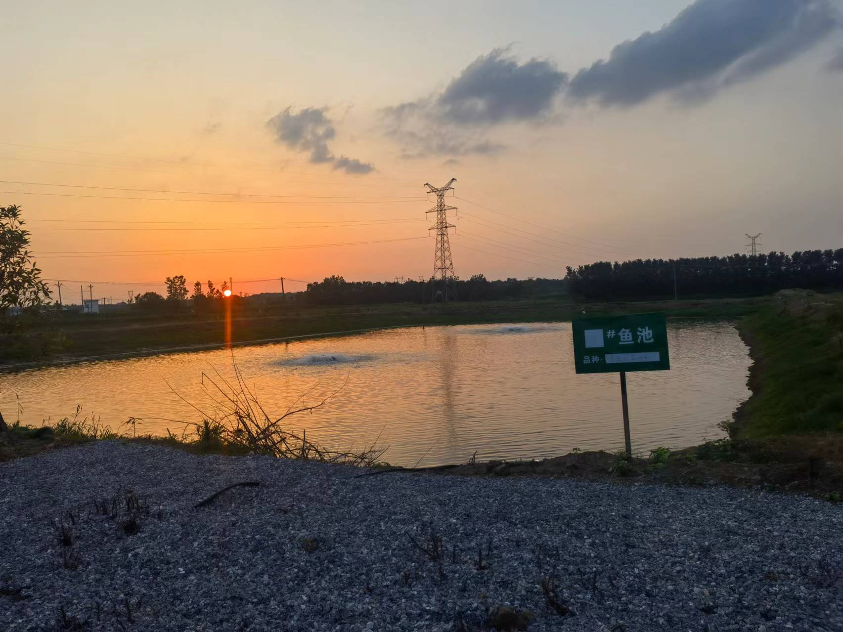 基地鱼池