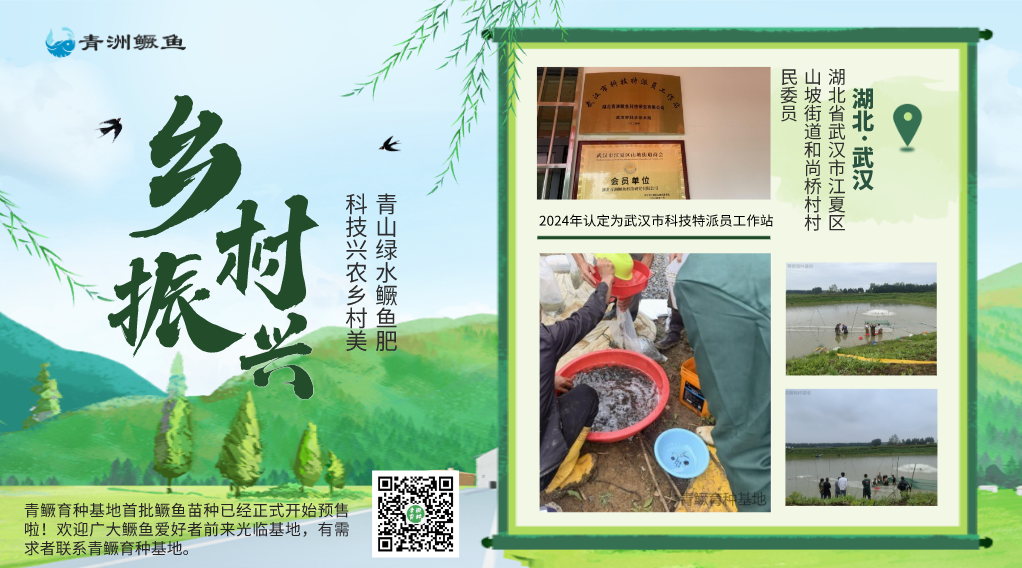 乡村海报2024.6.20-02.jpg