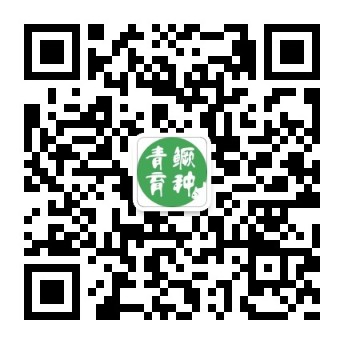 微信